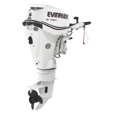 Лодочный мотор Evinrude E 25 DTSL 